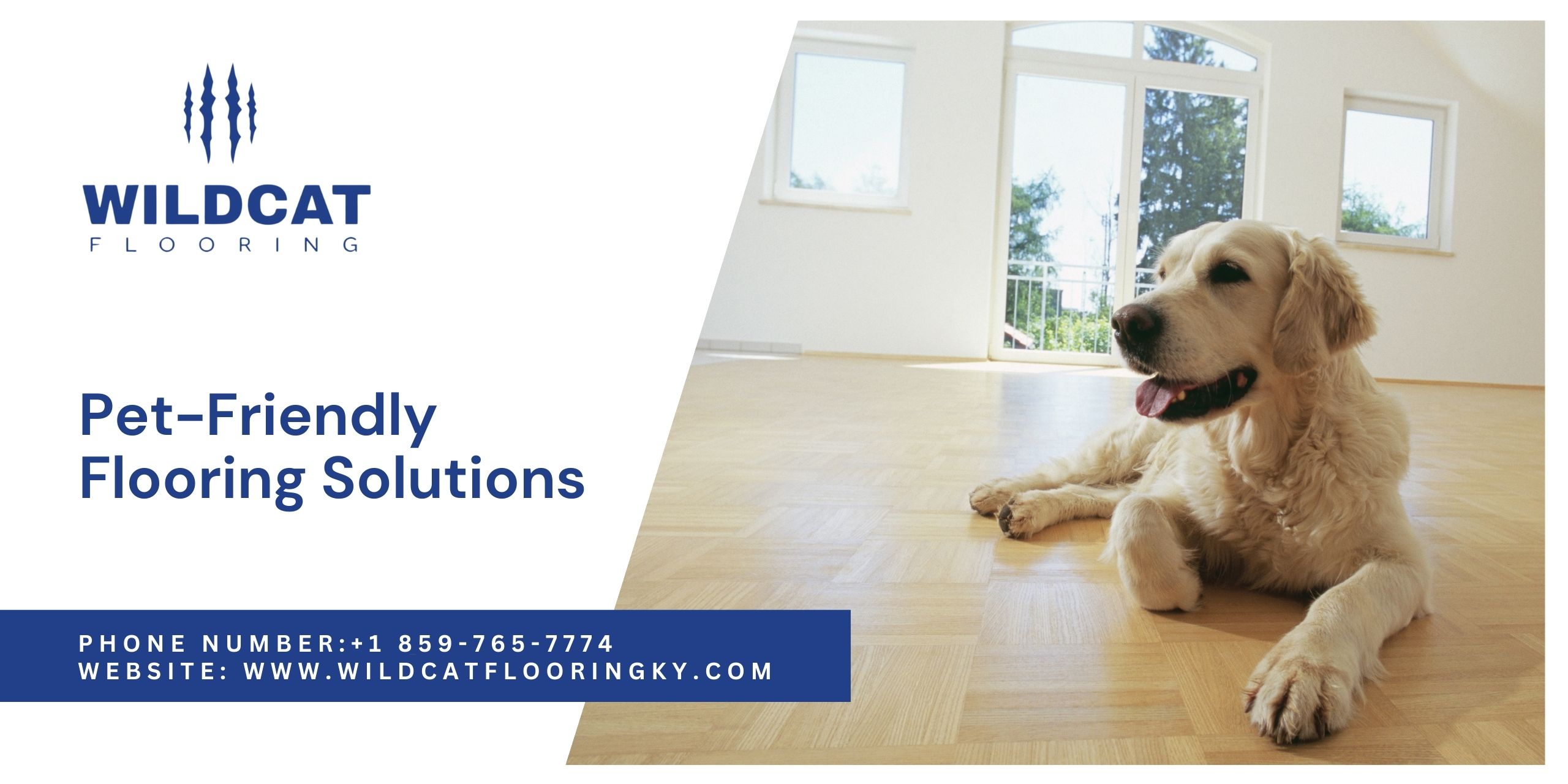 Pet-Friendly Flooring Solutions in Lexington KY